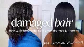 My Secret To Fixing DAMAGED HAIR Revealed *things that ACTUALLY work*