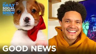 Shelter Dog Bow Ties, Grandma Hugs & COVID Test Delivery | The Daily Social Distancing Show
