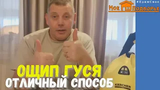 Как легко ощипать гуся с помощью парогениратора?! Отличный способ ! "Мое Подворье"