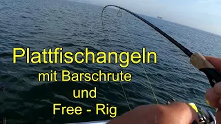 Plattfischangeln mit Barschrute und Free - Rig