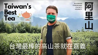 BEST HIGH MOUNTAIN TEA IN TAIWAN: ALISHAN 🍵 台灣最棒的高山茶就在嘉義