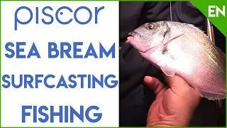 Fishing Setting for Sea Bream Surfcasting. The Trabucco team advice