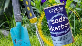 BAKING SODA - Be sure to pour it into your garden and see what happens!