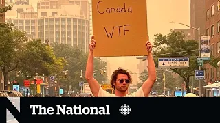 #TheMoment New Yorkers told Canada to take its smoke back