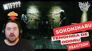 I Can't Even.... Sokoninaru - Tenohira De Odoru - Aussie Producer Reaction/Analysis