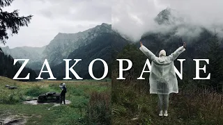 Закопане🏔 отдых в Польше, жильё + цены🐑 наши приключения, что нужно брать в горы; Большой влог🌿