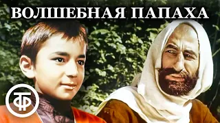 Волшебная папаха. Фильм-сказка (1990)