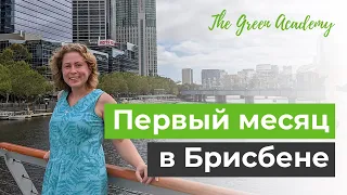 Первый месяц в Брисбене