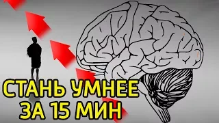 10 идей как за 15 минут заставить мозг работать и думать–Как быстро повысить работоспособность мозга