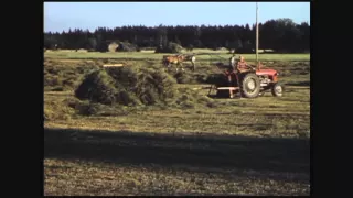 1960 heinänkorjausta Isossakyrössä