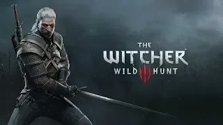 The Witcher 3 - (Avengers: Infinity War style)