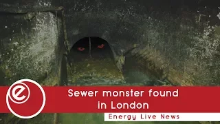 Sewer monster found in London | Energy Live News