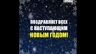 Поздравляем с наступающим новым 2019 годом!