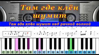 Там где клен шумит (cover) | Piano