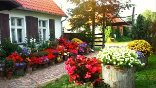 Декор приусадебного участка Идеи и вдохновение / Garden area Ideas for decor and design