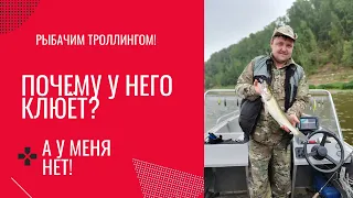 Рыбалка троллингом на Оке. Рыбачим с Ильей, рыба агрессивно кидается на воблера, но не на все.