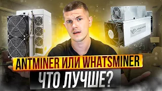 Antminer или Whatsminer, что лучше?