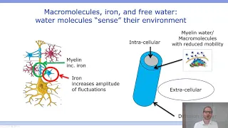 ISMRM MR Academy - Magnetization Transfer & T1 Contrast: Mechanisms, Sensing & Quantifying