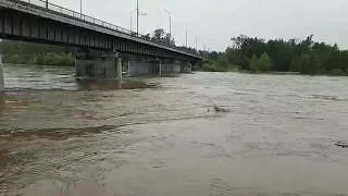 Китой. Вечер 29.07.2019