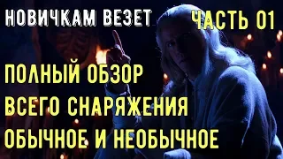 Глобальный обзор снаряжения/ Обычное и необычное/ Mortal Kombat Mobile