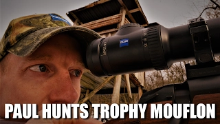Paul hunts trophy mouflon