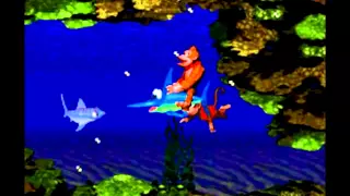 Aquatic Ambiance 10 Hours - Donkey Kong Country