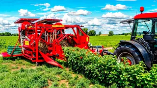 Incredible Harvesting Machines Use In Farming - Modern Agriculture Inventions