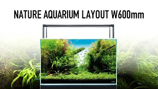 [ADAview] W600mm Nature Aquarium Layout ライト・オブ・ワールズ【EN/JP Sub.】