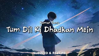 Tum Dil Ki Dhadkan Mein - Kumar Sanu | SLOWED & REVERB | Dhadkan | HD