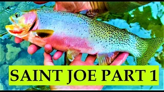 Fly Fishing for Native Cutthroat Trout on the Saint Joe River Idaho - GREAT FISHING!!  Part 1 of 3