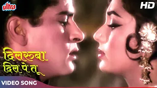 शम्मी कपूर और साधना का सदाबहार रोमैन्टिक सॉंग : Dilruba Dil Pe Tu | Mohammed Rafi | Rajkumar (1964)