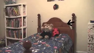 Child's Ghost Caught on Camera with Teddy Bear