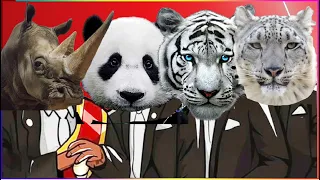 RHINO & PANDA & SNOW TIGER & SNOW LEOPARD ( FUNNY ANIMALS ) - Coffin Dance X Baby Shark COVER