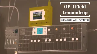 fly .. ambient shortcut.. OP-1 Field .. teenage engineering TX-6 . 1010music . nanobox lemondrop