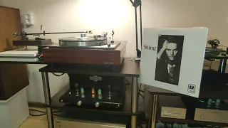 Sting Nothing like the sun - Fragile 1987