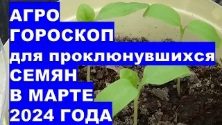 Агрогороскоп для проклюнувшихся семян в марте 2024 Agrohoroscope for hatched seeds in March 2024