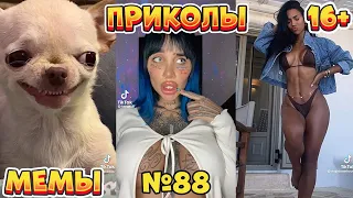 15 МИНУТ СМЕХА ДО СЛЁЗ | ЛУЧШИЕ ПРИКОЛЫ | ВЗРОСЛЫЙ ЮМОР l TikTok УГАР l #88