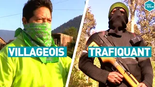 VILLAGEOIS VS TRAFIQUANTS POUR LA FORÊT (Mexique) - L'Effet Papillon