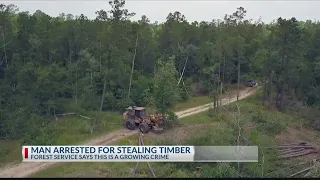 Panola County man charged with timber fraud