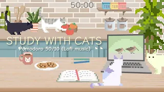 Study with Cats 🍅 Pomodoro timer 50/10 x Animation | Studying at the kitchen table ♡ | Lofi music