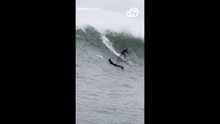 Huge waves at Mavericks Beach draw surfers from around the world