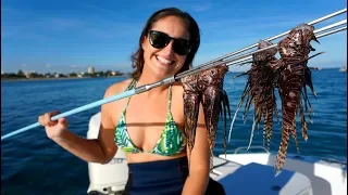 Spearing and Eating Raw VENOMOUS Lionfish! Catch Clean and Cook!!