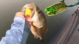 Ca Delta Bass Fishing.(POPPING FROGS TIPS)