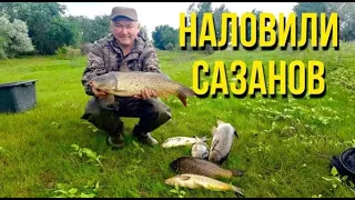 САЗАН КЛЮЁТ КАК ВОБЛА,ХОРОШИЙ ОТДЫХ В ХОРОШЕЙ КОМПАНИИ!СЕЗОН 2023 ОТКРЫТ!