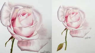 How to paint a rose in watercolor #watercolortutorial