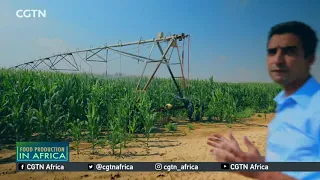 FOOD IN AFRICA: Egypt moves to develop irrigation systems to save water, boost productivity