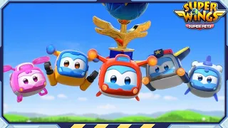 ✈[SUPERWINGS] Superwings5 Full Episodes Live | SuperPets | Super Wings Compilation✈