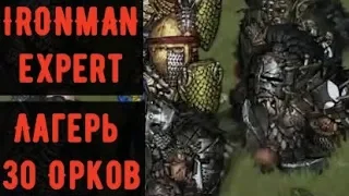 Battle Brothers: B&E -ironman/expert- Последний крупный лагерь орков (30 штук). Вырезка из стрима.