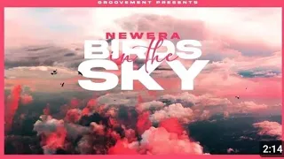 NewEra-Bird in the sky Lyrics