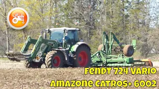 Tillage 2024 | Fendt 724 Vario & Amazone Catros+ 6002-2TX disc harrow